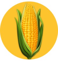The Funniest Corn Jokes