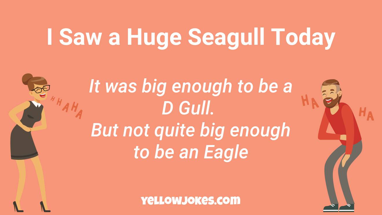 Funny Seagull Jokes