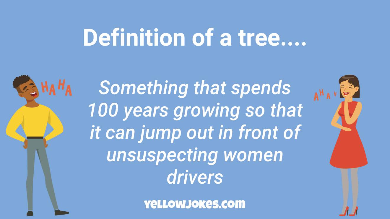 Funny Women Driver Jokes