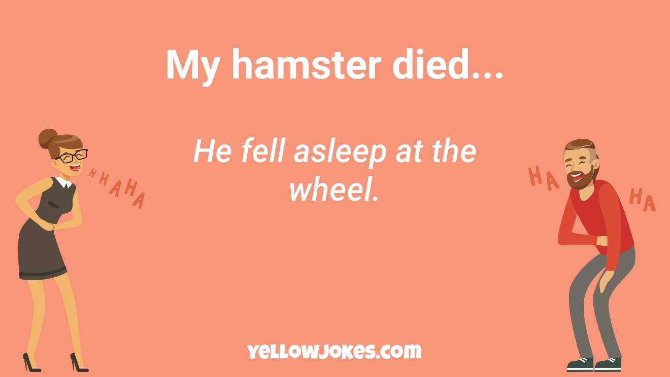 Funny Hamster Jokes