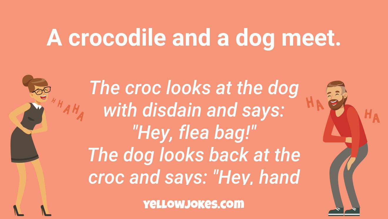 Funny Croc Jokes