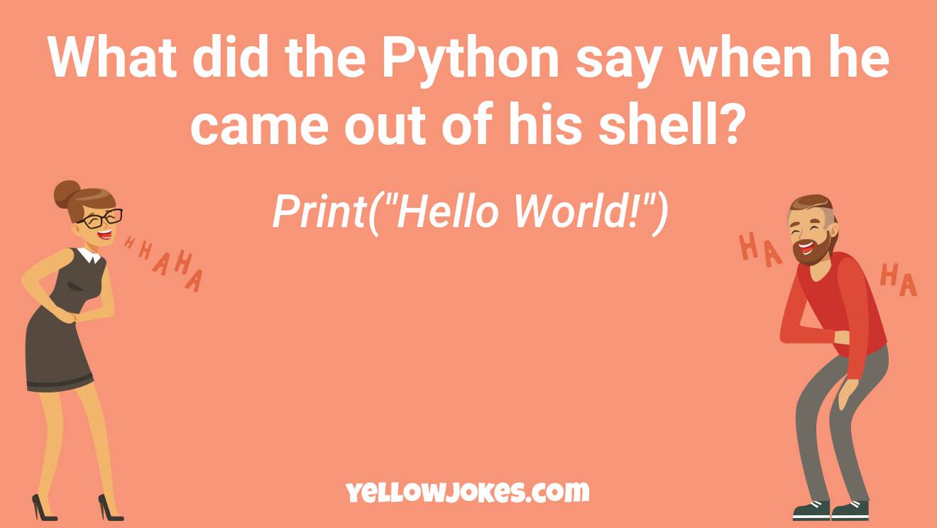 Funny Python Jokes