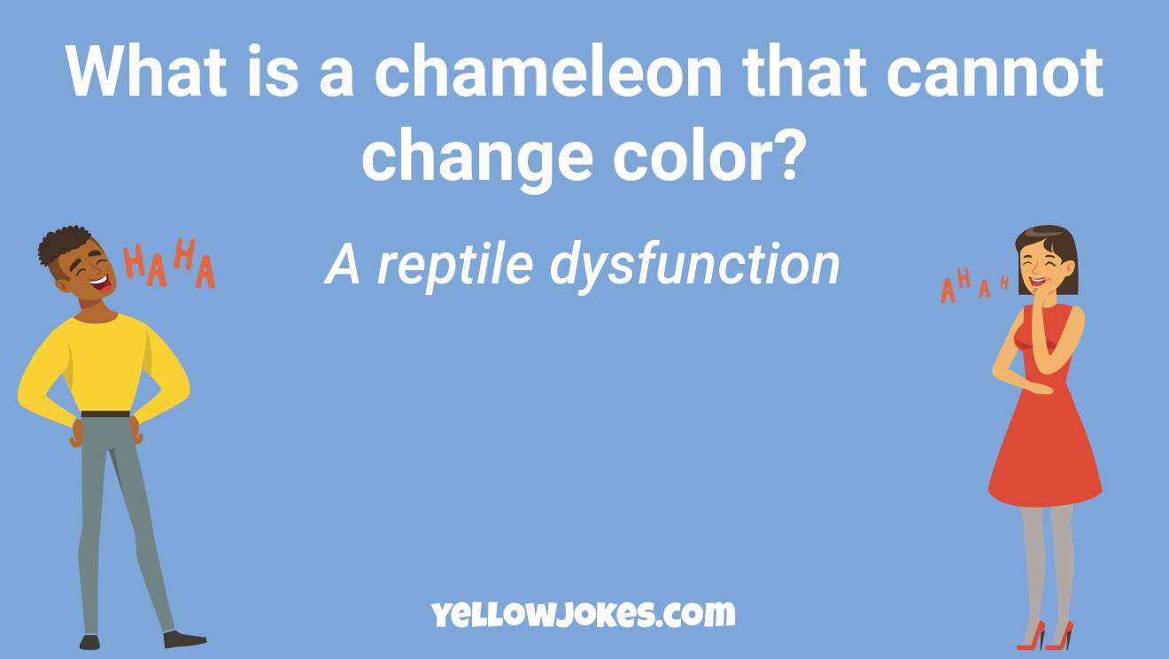 Funny Chameleon Jokes