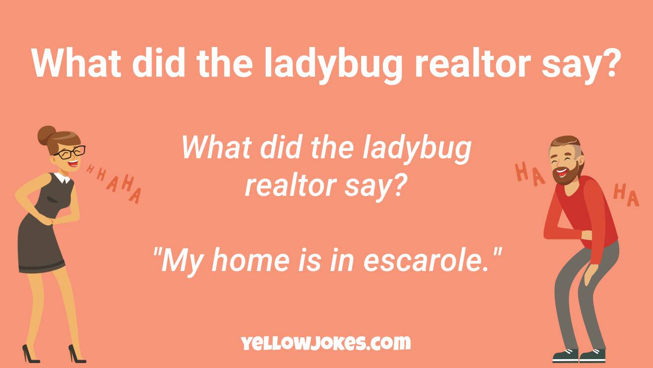 Funny Ladybug Jokes