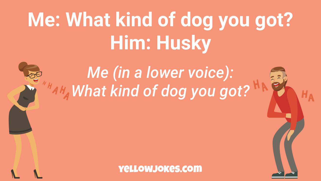 Funny Husky Jokes