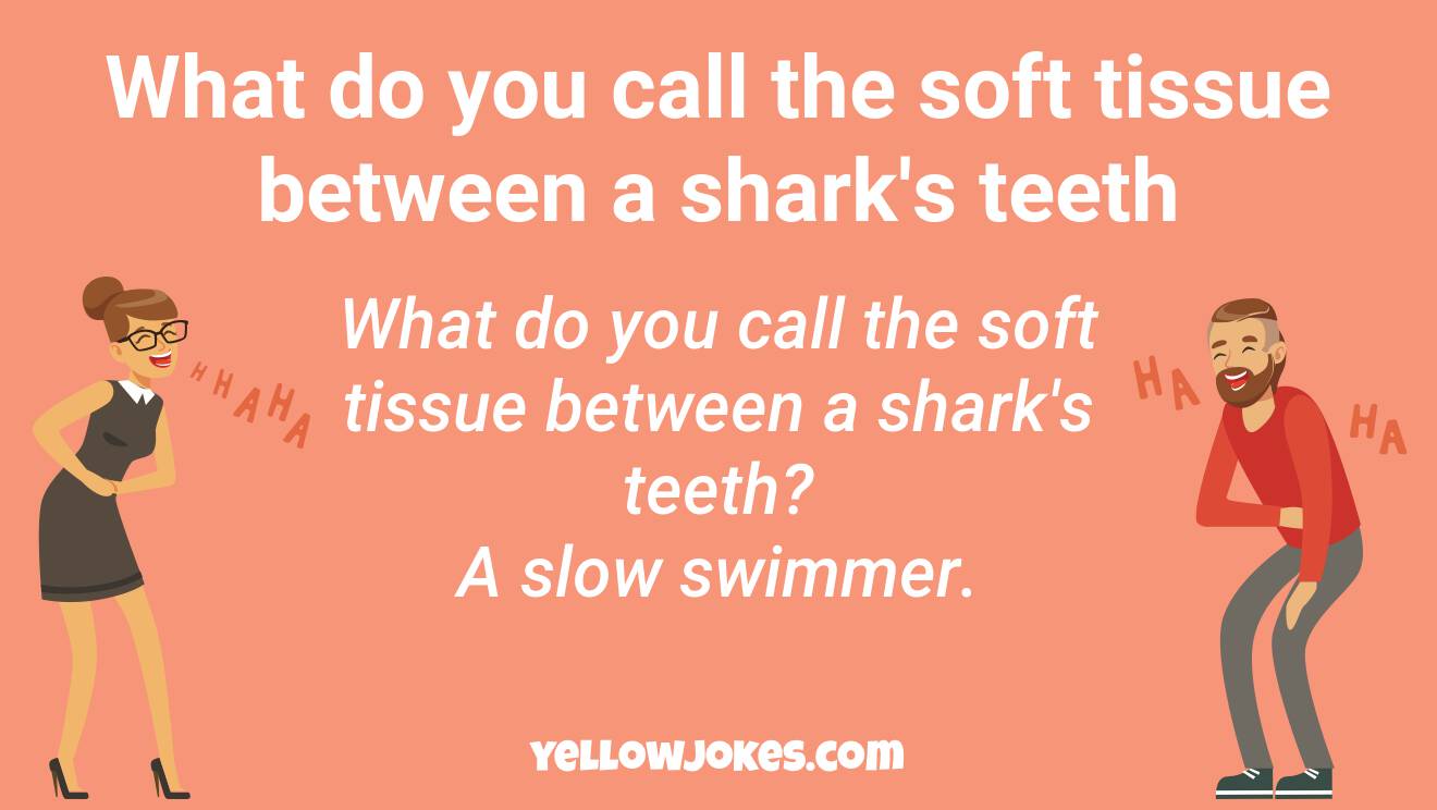 Funny Tissue Jokes