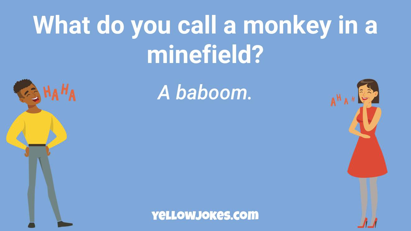 Funny Monkey Jokes