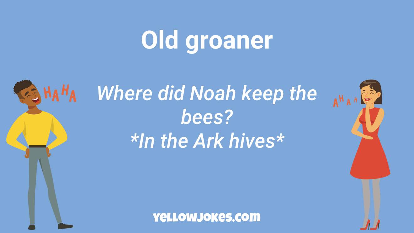 Funny Groaner Jokes