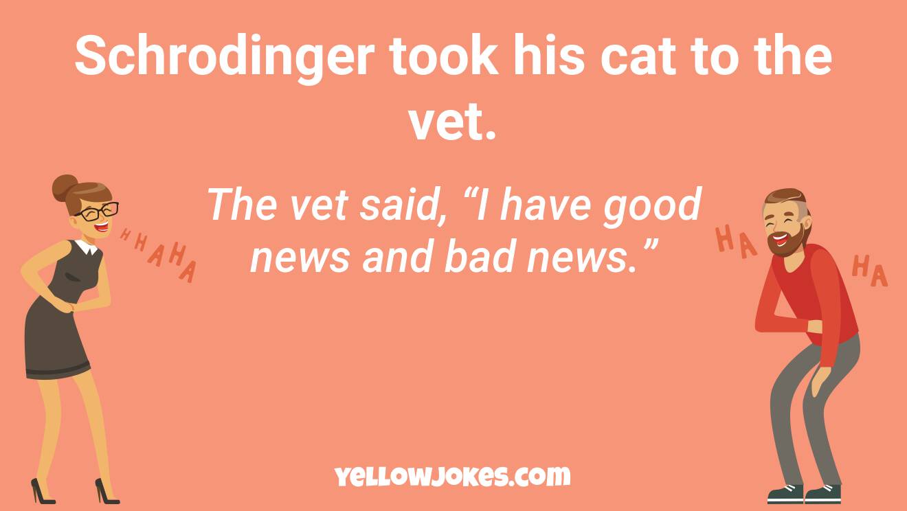 Funny Cat Jokes