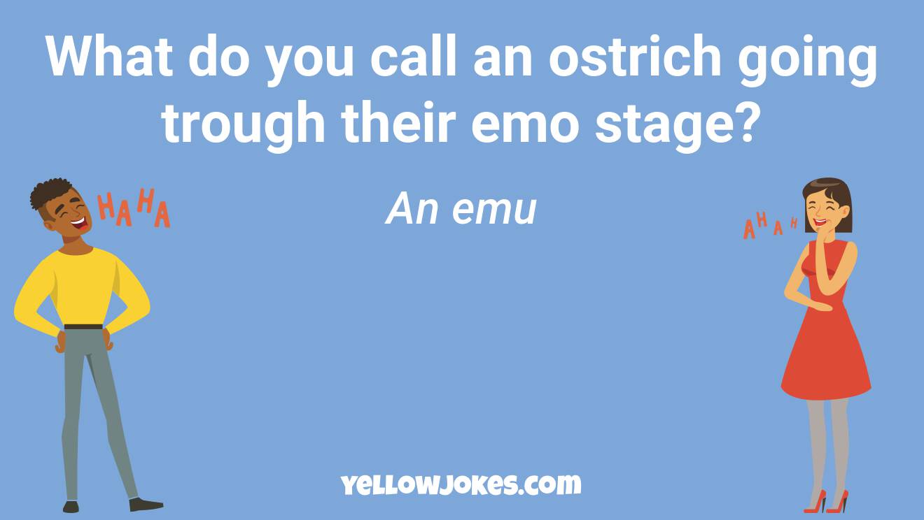 Funny Ostrich Jokes