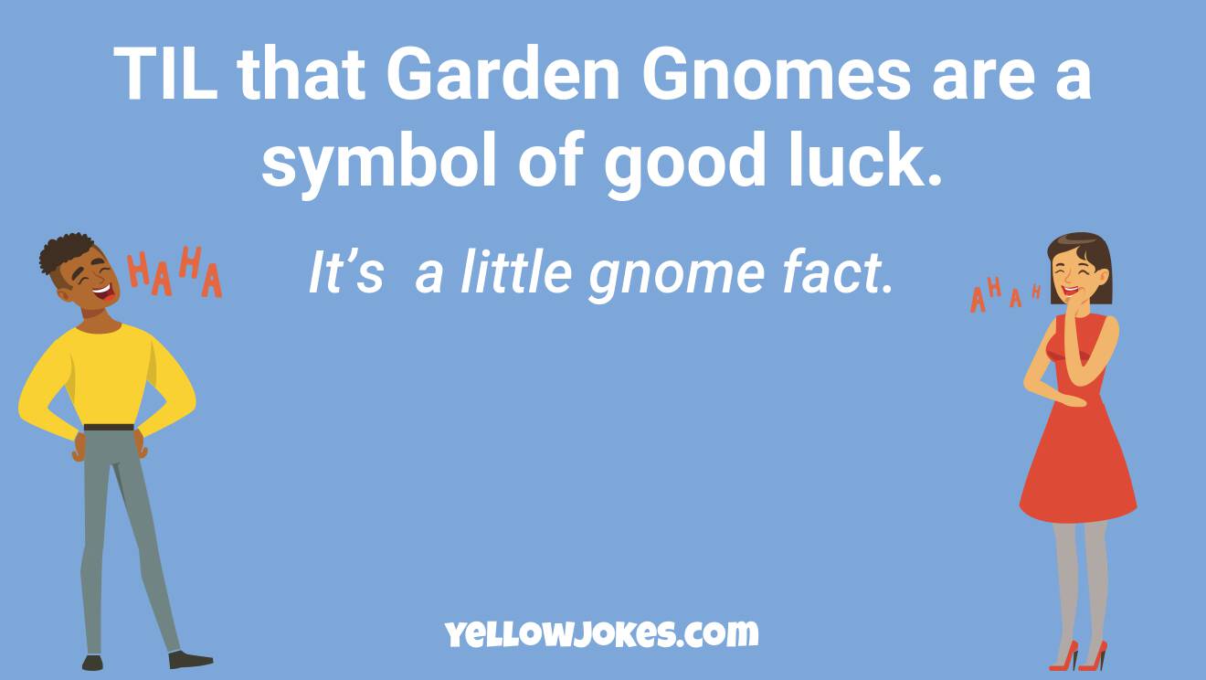 Funny Gnome Jokes