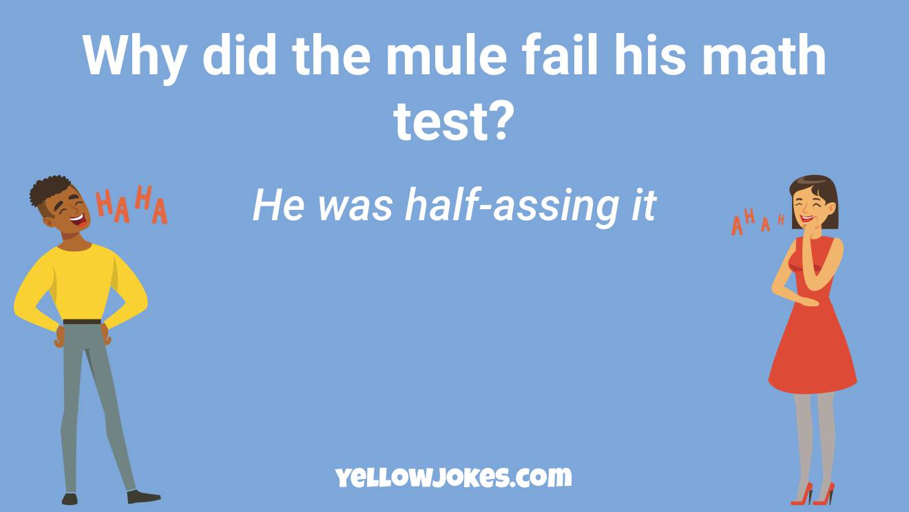 Funny Mule Jokes