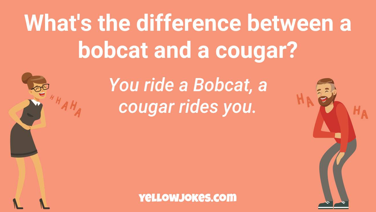 Funny Cougar Jokes