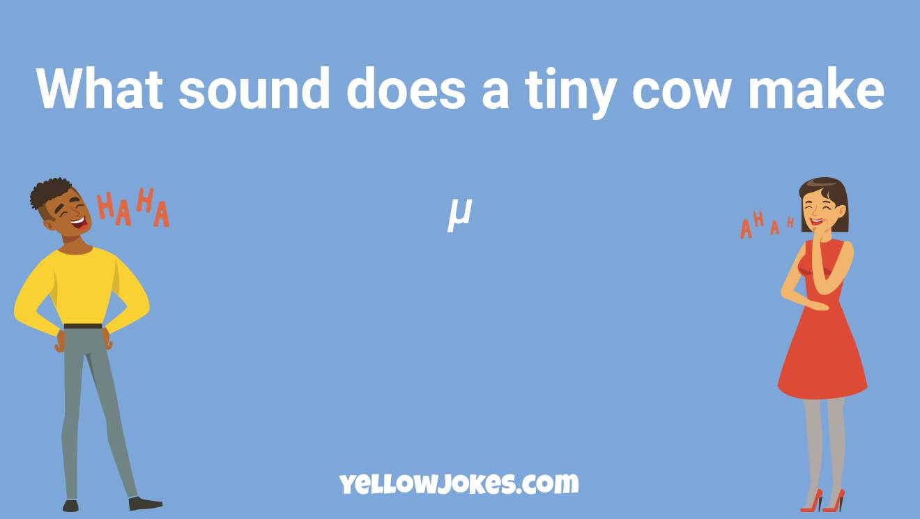 Funny Cow Jokes