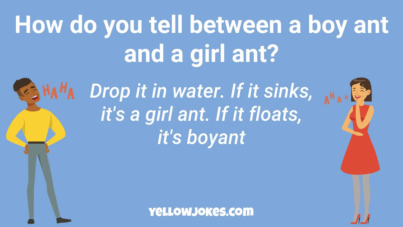 Funny Ant Jokes
