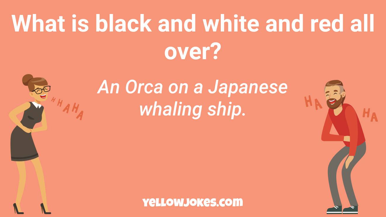 Funny Orca Jokes