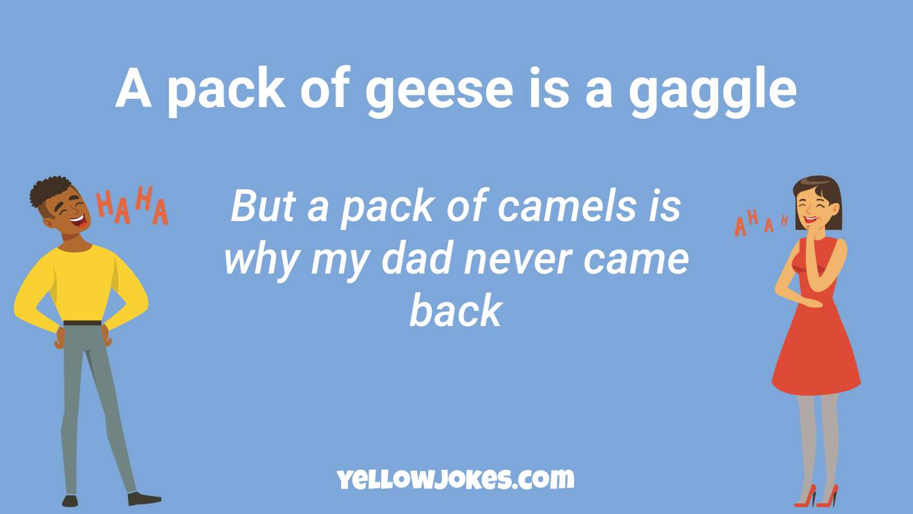 Funny Geese Jokes