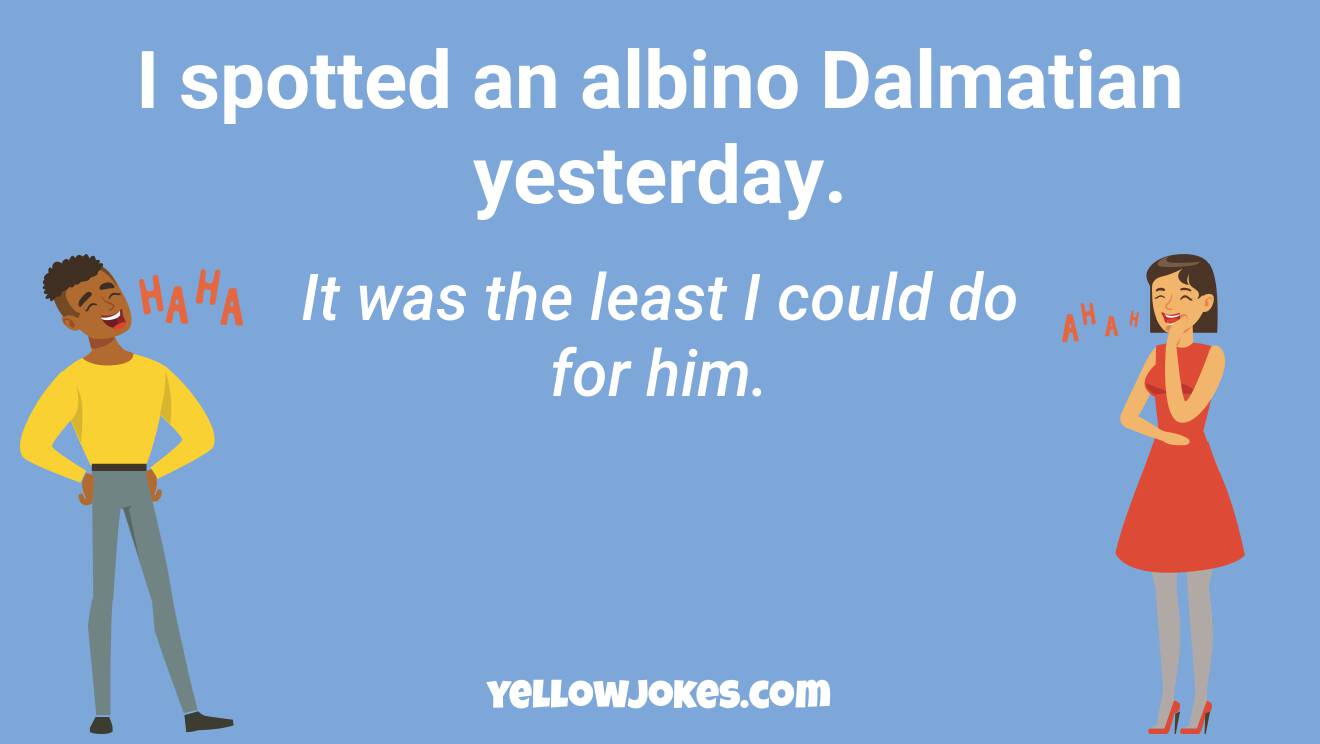 Funny Albino Jokes