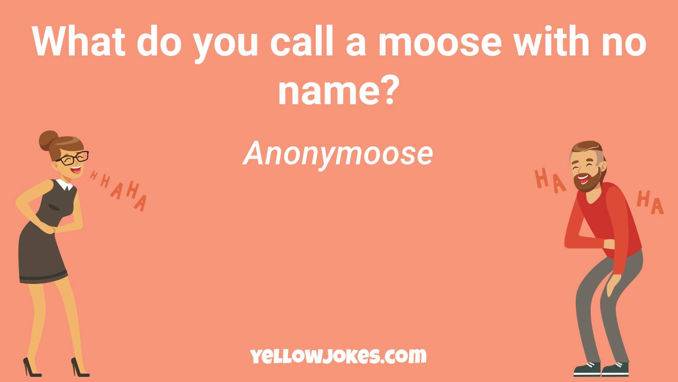 Funny Moose Jokes
