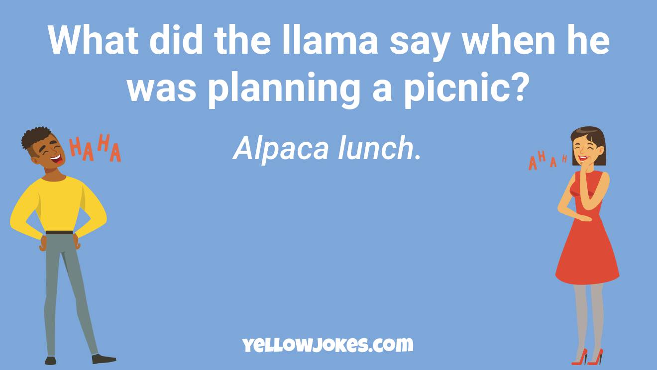 Funny Llama Jokes