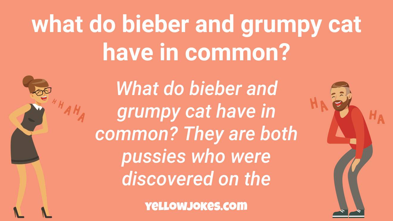 Funny Grumpy Cat Jokes