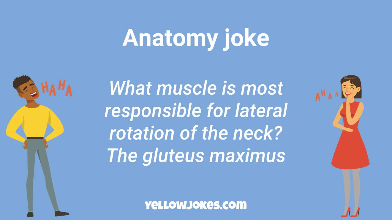 Funny Anatomy Jokes