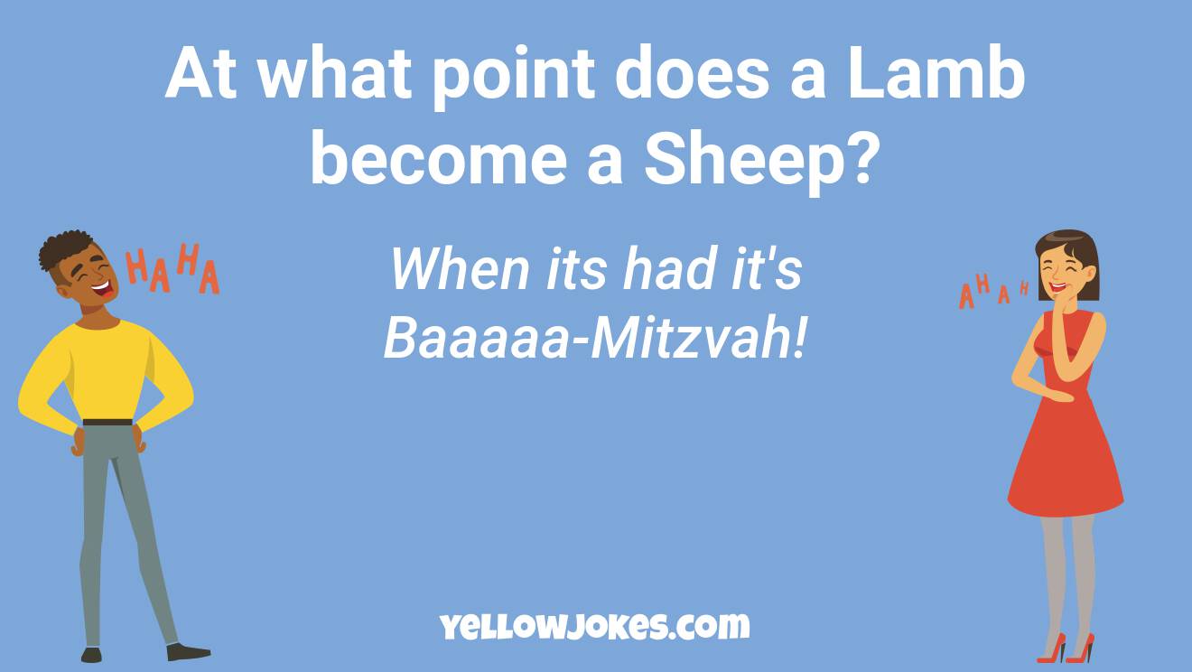 Funny Lamb Jokes