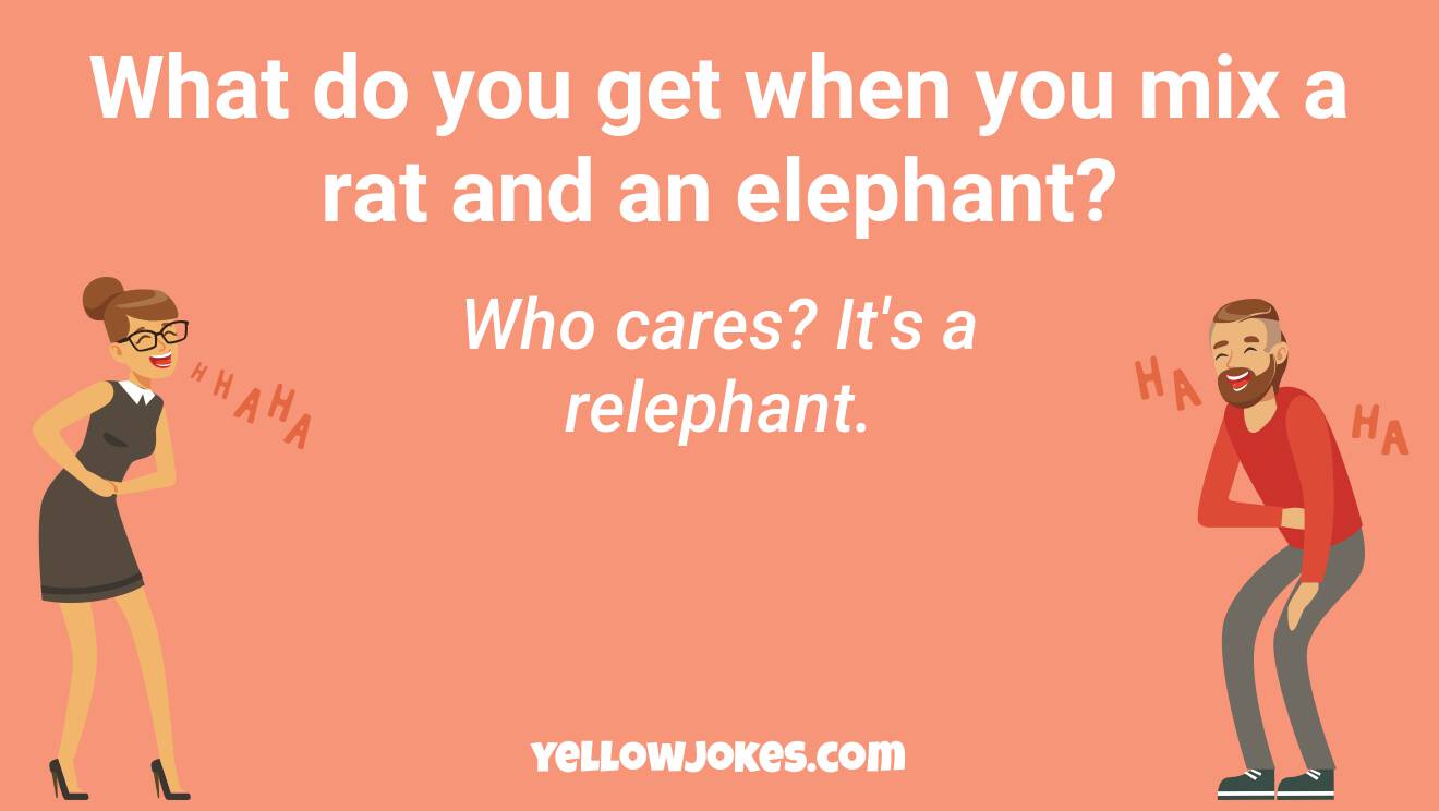 Funny Rat Jokes