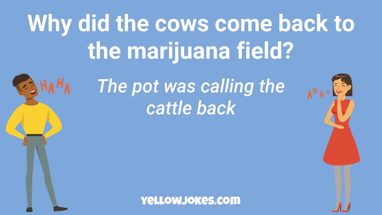 Funny Marijuana Jokes